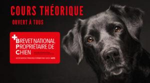 Cours théorique - Brevet national de propriétaire de chien (BPC)