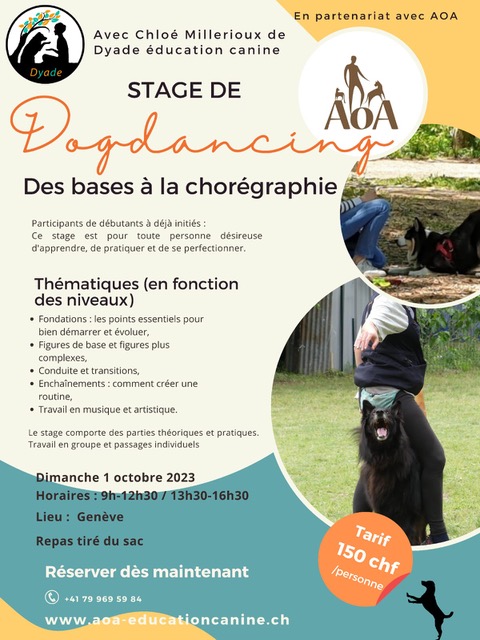 Stage Dog Dance / Dog Dance Workshop - AoA Éducation canine