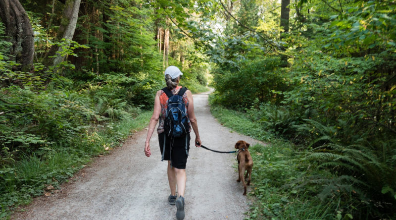 Promenade de vos chiens par des professionnels / Walk your dogs by professionals - AoA Éducation canine